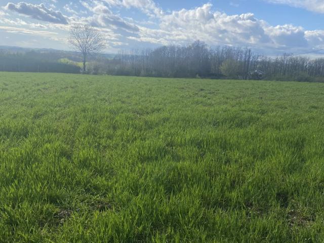 Terrain 5 182 m²