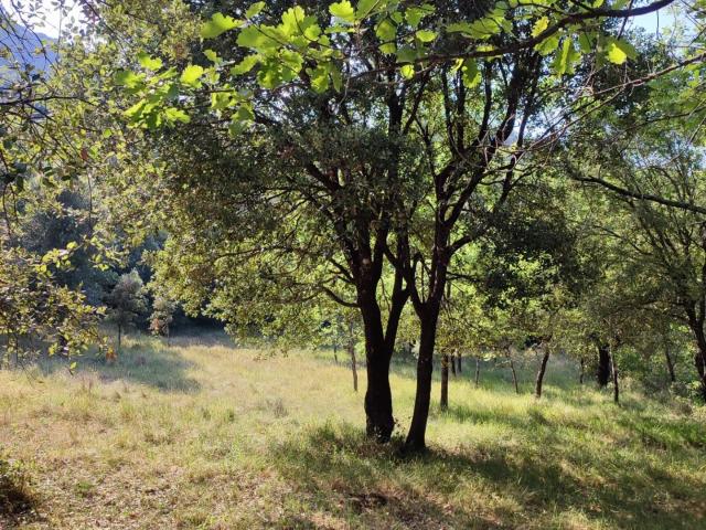 Terrain 5 647 m²