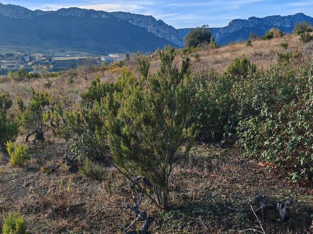 Terrain 5 805 m²