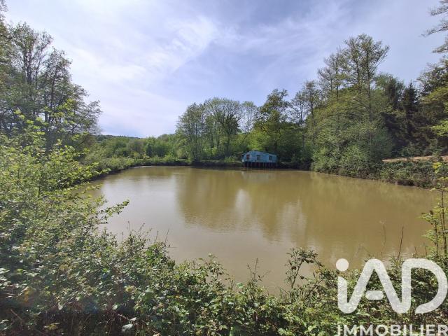 Terrain 5 800 m²