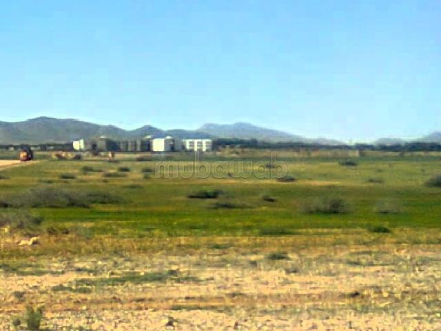 Terrain 5ha titré proche du grand stade