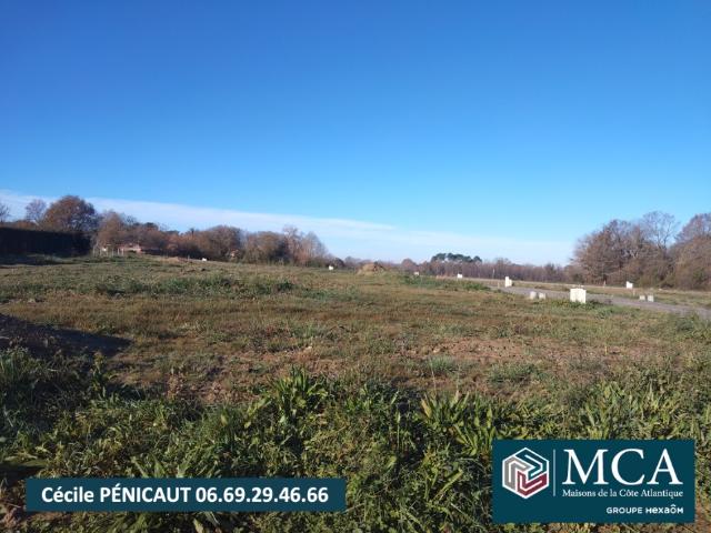 Terrain 640 m2 st pandelon