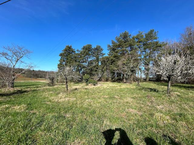 Terrain 6410 m2