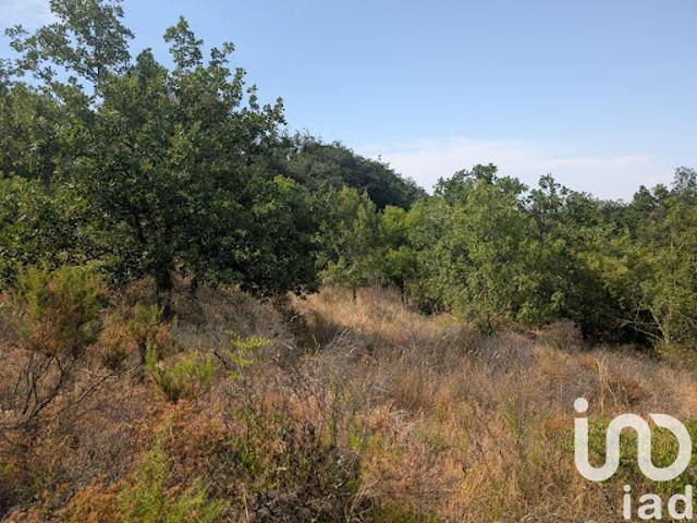 Terrain 6500 m2