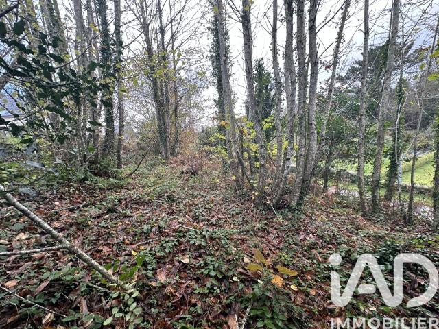 Terrain 650 m²