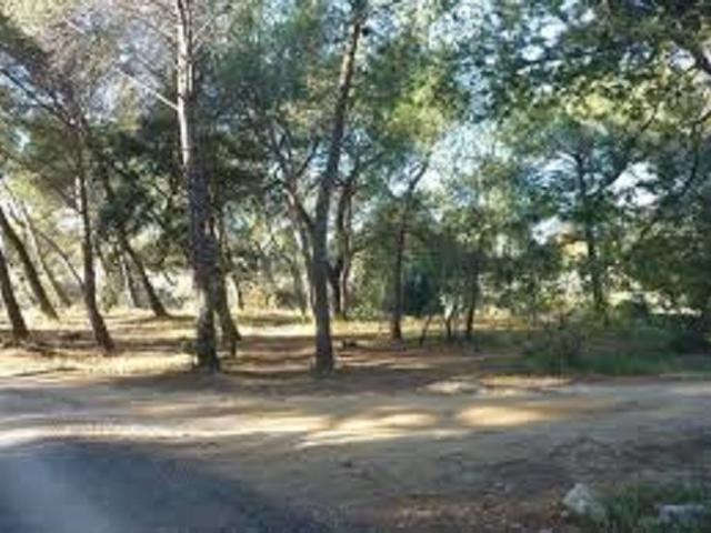 Terrain 654 m2 parentis en born