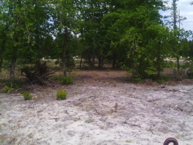 Terrain 670 m2 labouheyre