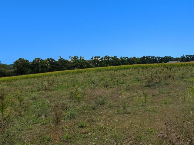 Terrain