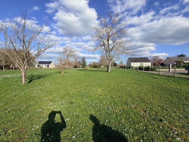 Terrain 6000 m2