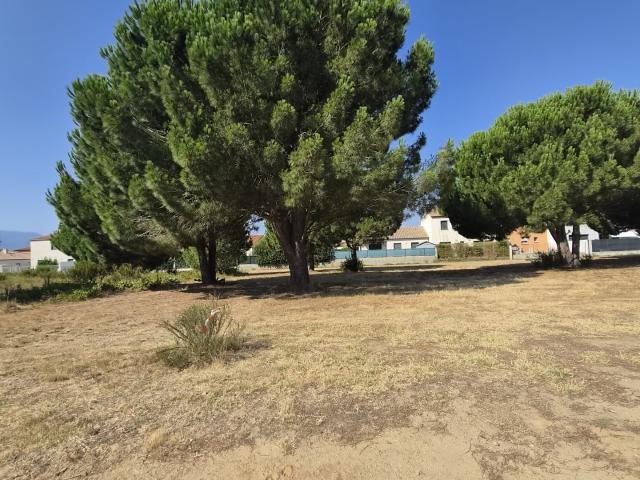 Terrain 606 m²