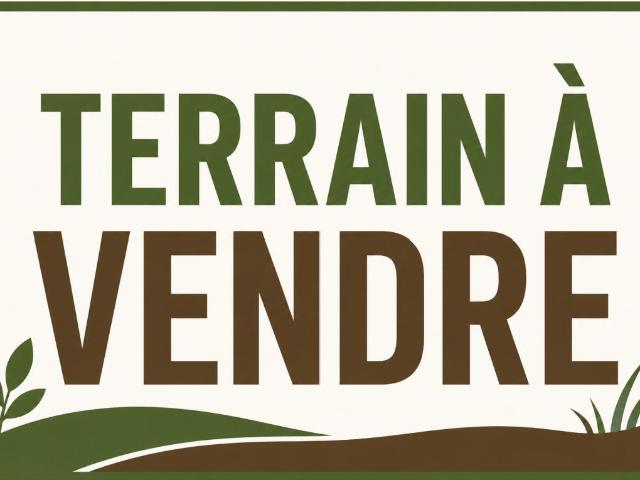 Terrain