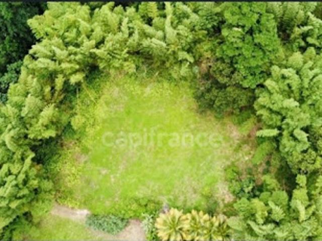 Terrain 6130 m2