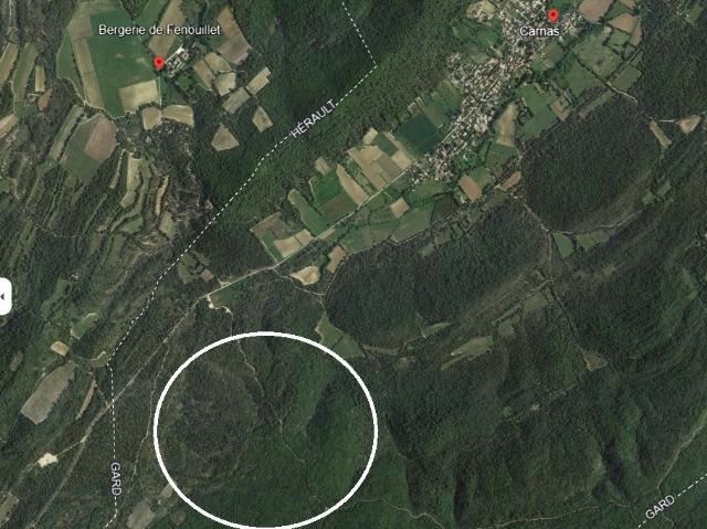 Terrain