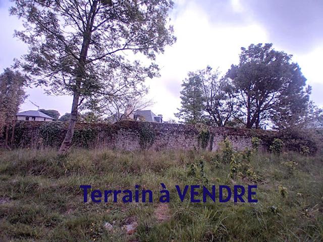 Terrain