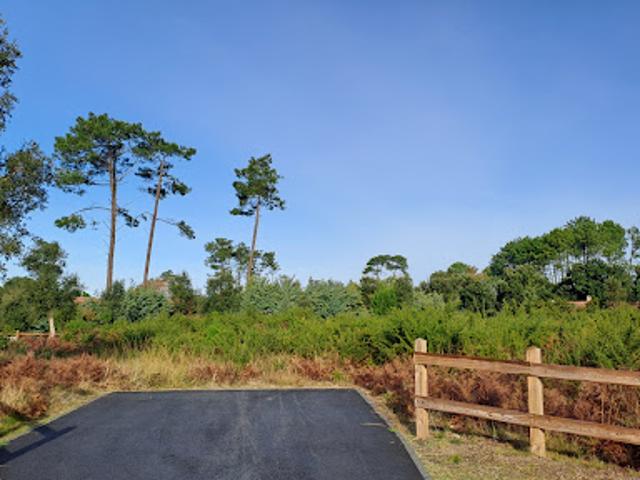 Terrain