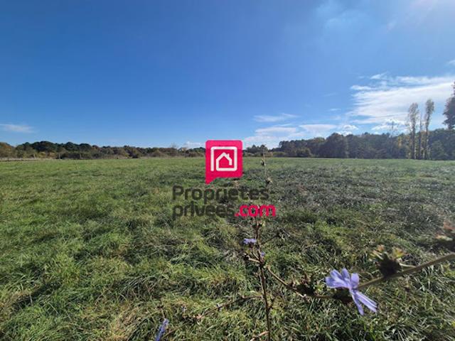 Terrain 6262 m2