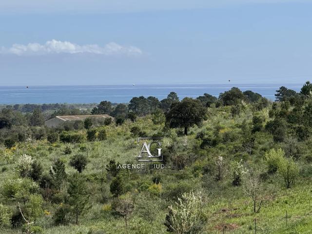 Terrain