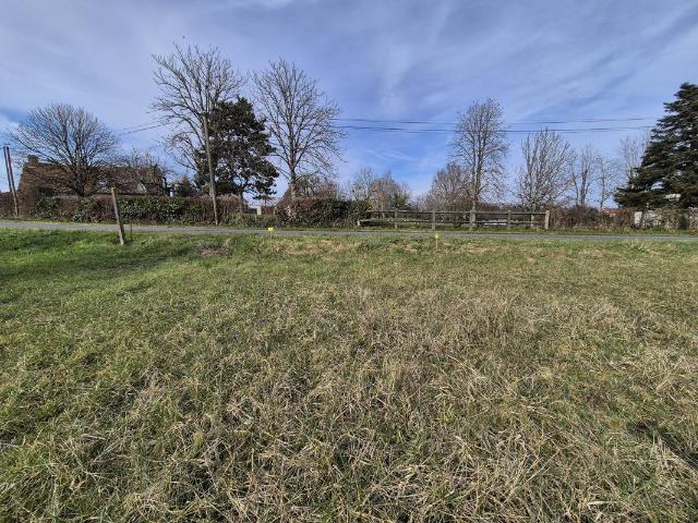 Terrain
