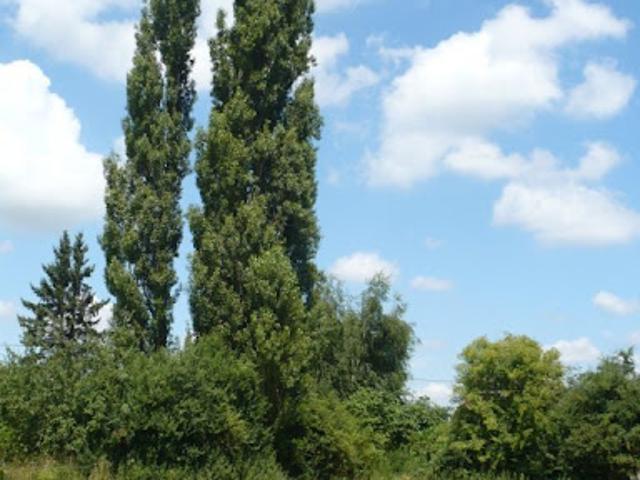 Terrain 6315 m2