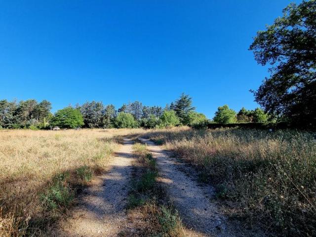 Terrain