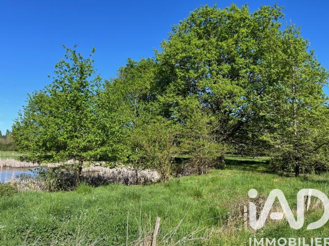 Terrain 6 056 m²