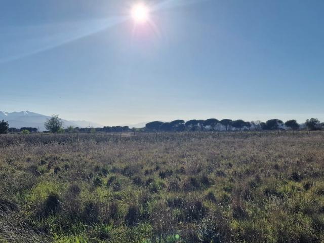 Terrain 6 360 m²