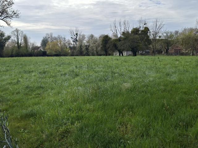 Terrain 6 500 m²