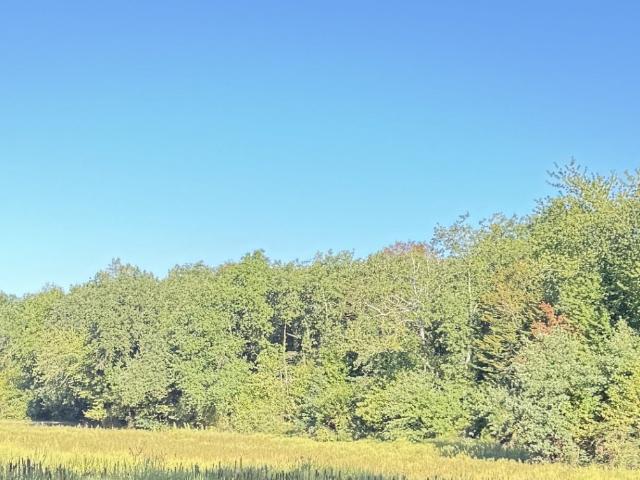 Terrain 6,97 hectares