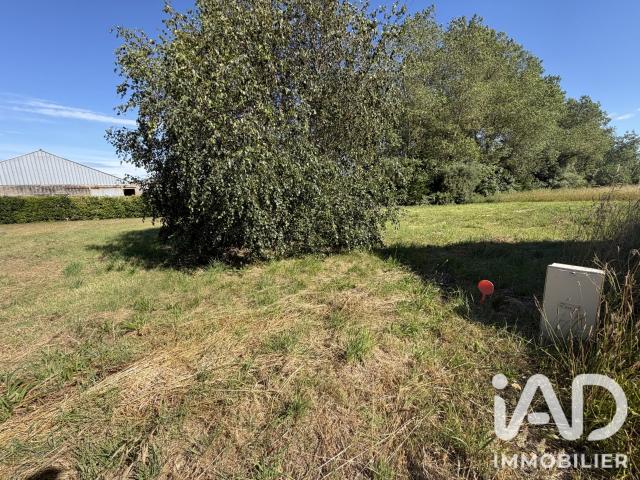 Terrain 741 m²