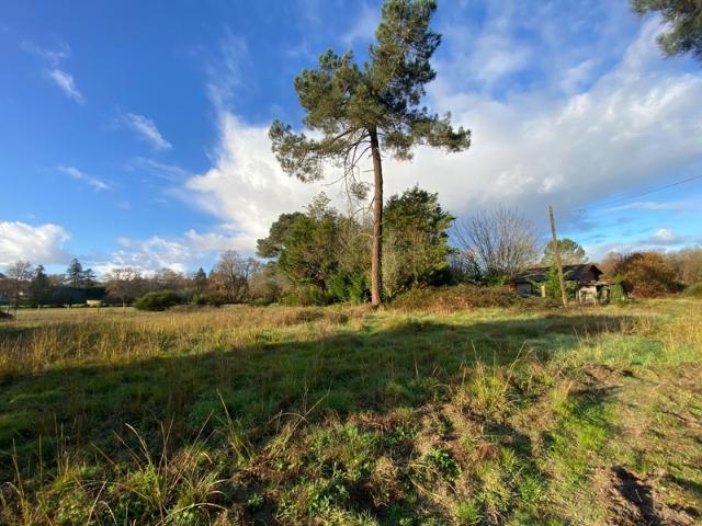 TERRAIN 7500M2 St Morillon