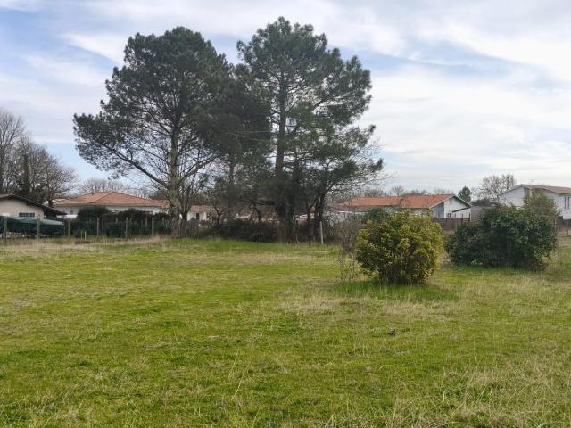 Terrain 750 m²