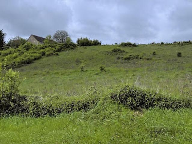 Terrain 7646 m2