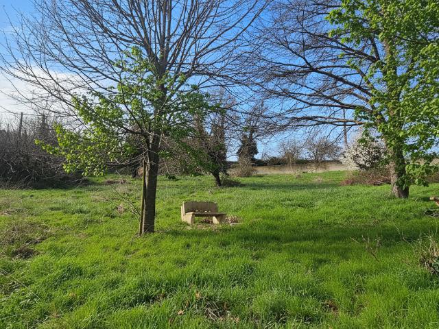 Terrain 768 m² viabilisé secteur résidentiel MONTAGNY