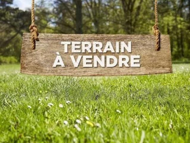 Terrain