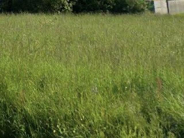 Terrain 784 m²