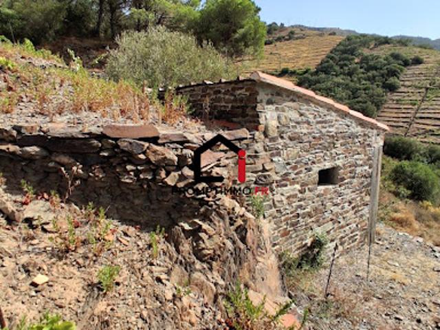 Terrain 7859 m2
