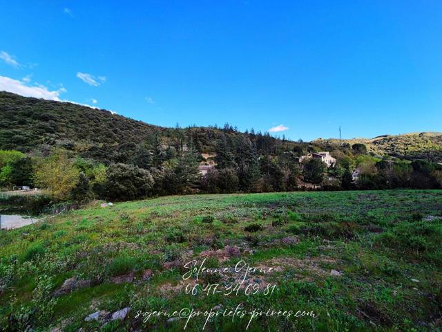 Terrain 7990 m2