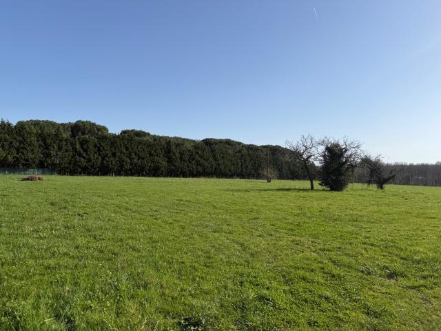 Terrain 700 m2 le tuzan