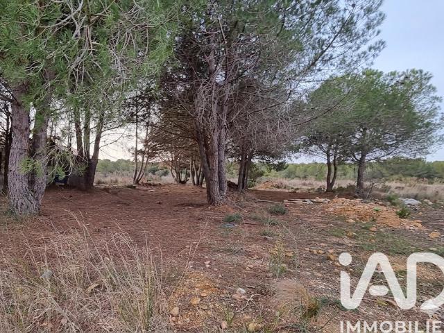 Terrain 700 m²