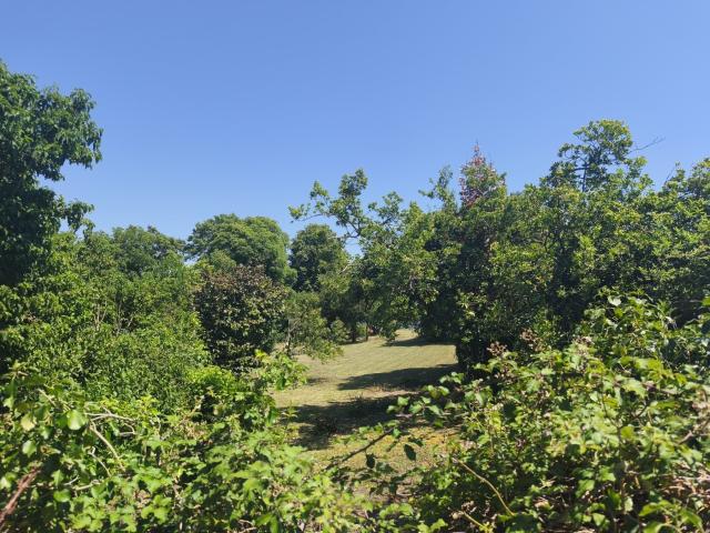 Terrain 706 m2 chaillevette