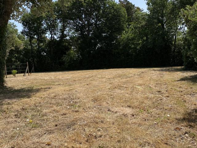 Terrain 708 m²