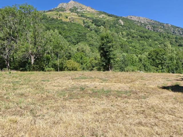 Terrain