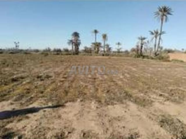 Terrain 7200 m² avec Vue sur l’Atlas