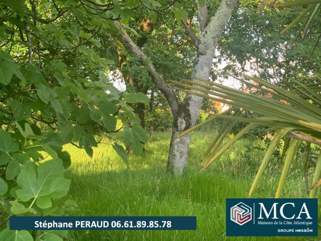 Terrain 720 m2 port de lanne