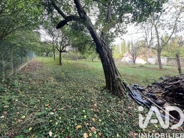 Terrain 730 m²