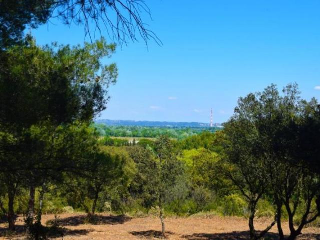 Terrain