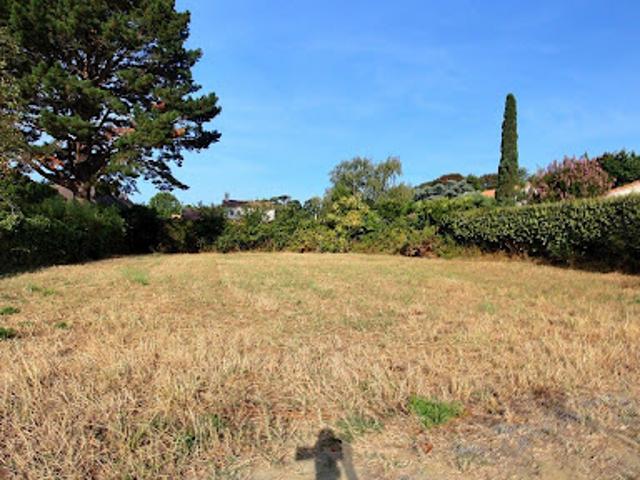 Terrain