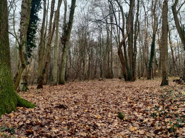 Terrain 7 227 m²