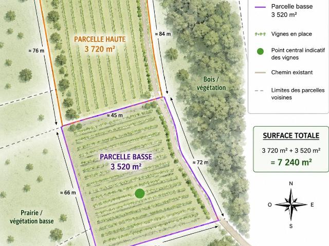 Terrain 7 240 m²