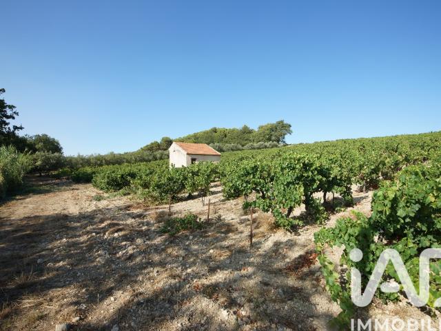 Terrain 7 360 m²